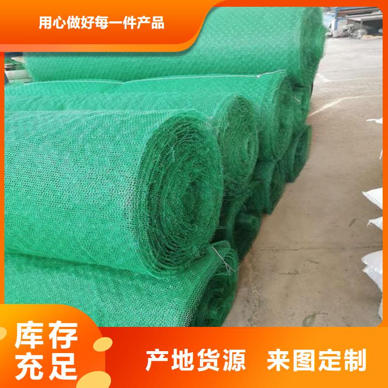 三維植被網(wǎng)土工格柵型號(hào)全價(jià)格低
