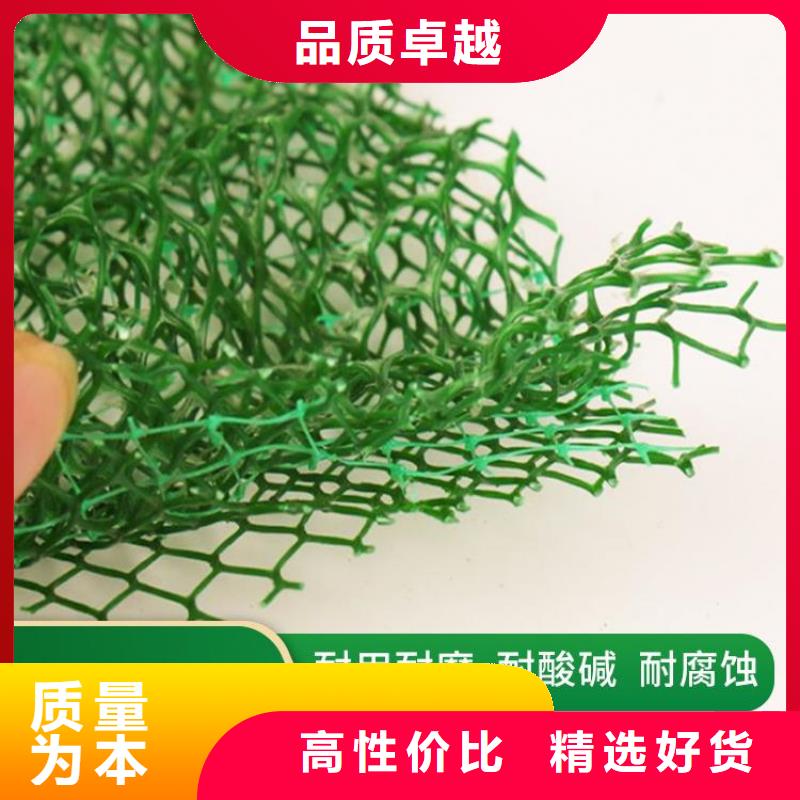 三維植被網(wǎng)_土工格柵產(chǎn)地采購