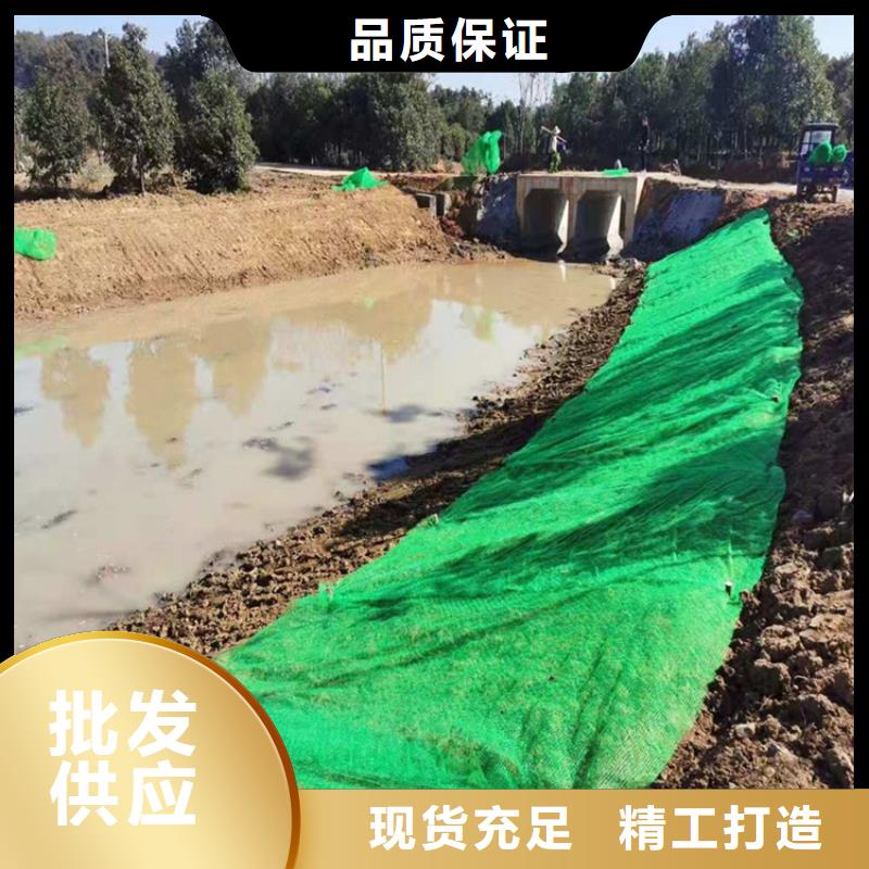三維植被網(wǎng)土工格柵型號(hào)全價(jià)格低
