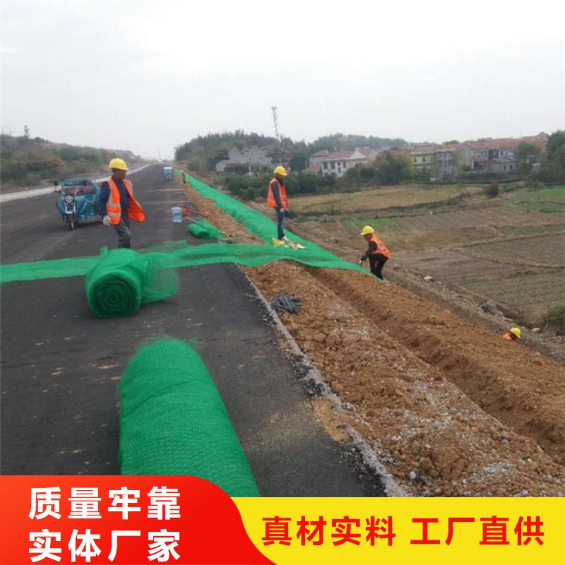 三維植被網(wǎng)聚酯玻纖布本地廠家值得信賴