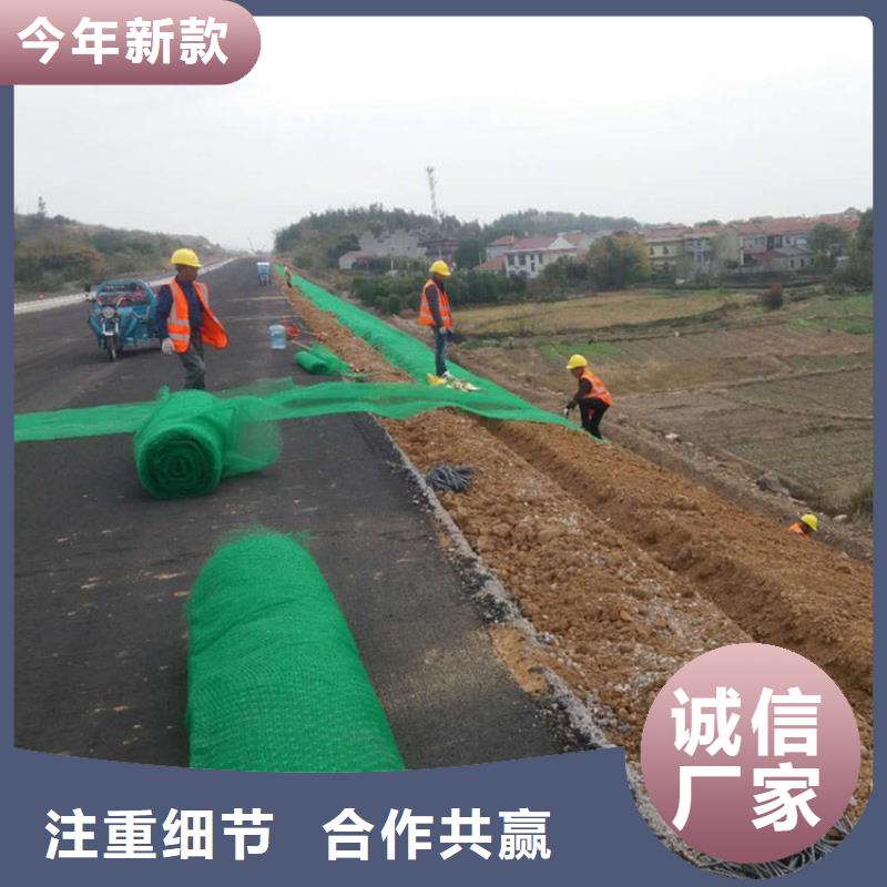 三維植被網(wǎng)塑料盲溝采購(gòu)