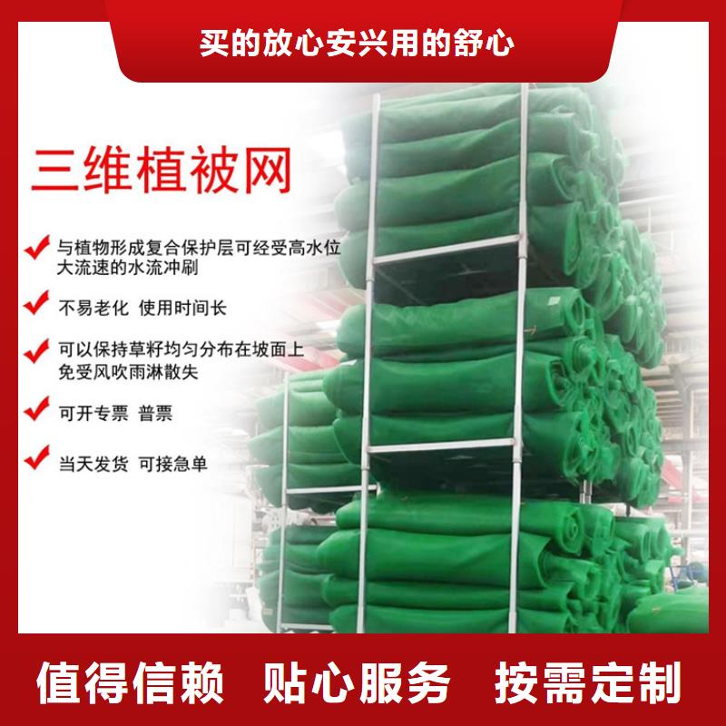 三維植被網(wǎng)_土工格柵產(chǎn)地采購