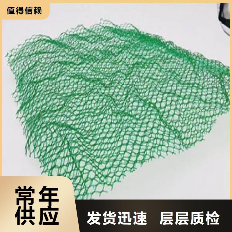 三维植被网塑料盲沟大量现货供应