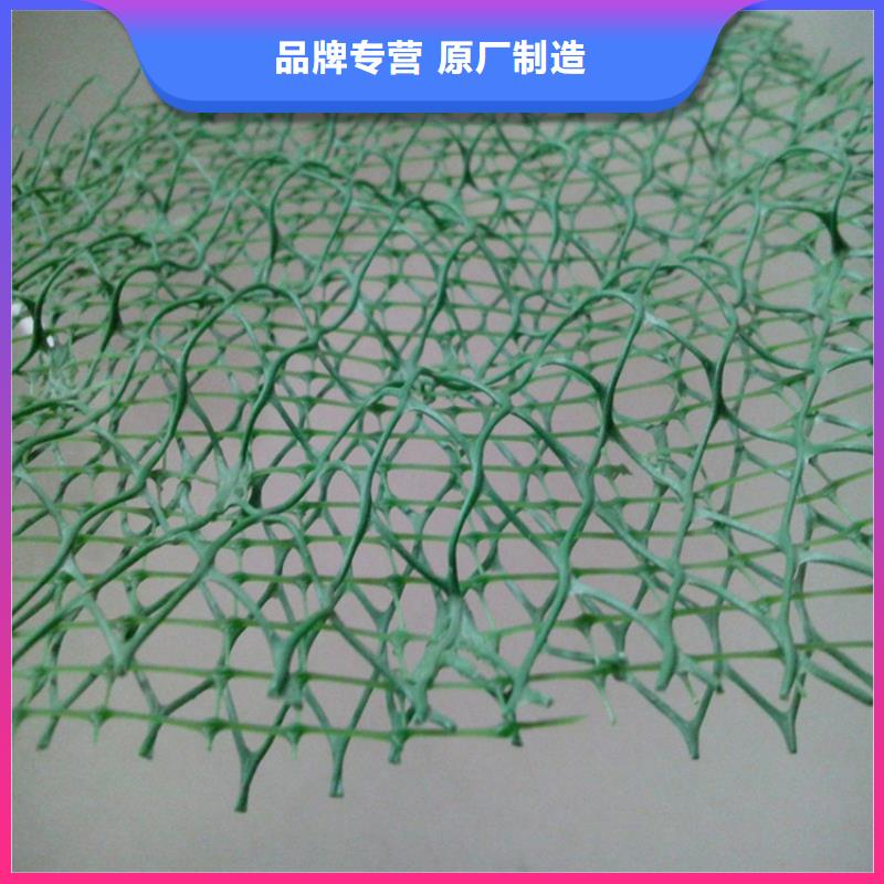三维植被网_土工格栅货源直销