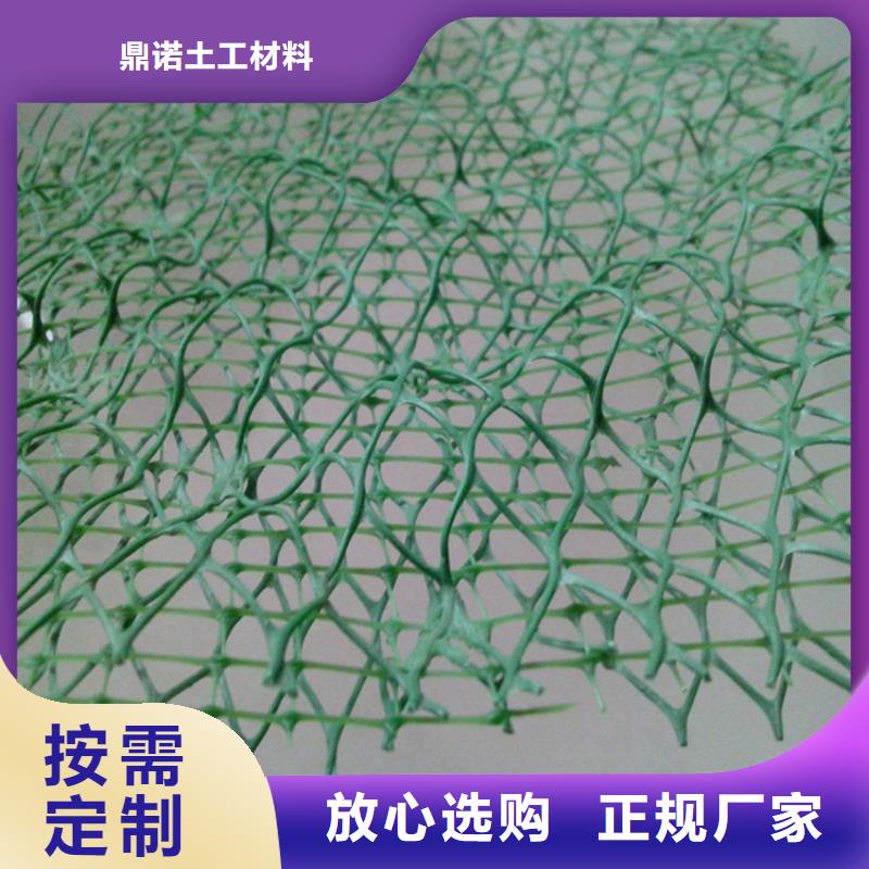 三維植被網(wǎng)-EM2三維植被網(wǎng)