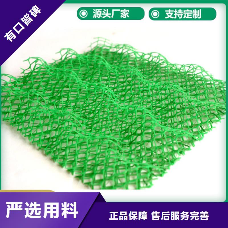三維植被網(wǎng)_土工格柵貨源直銷