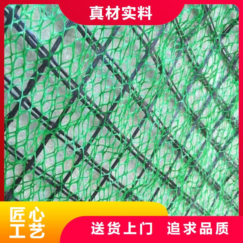 三維植被網(wǎng)塑料盲溝采購