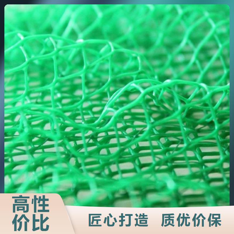 三維植被網(wǎng)-防水板免費(fèi)回電