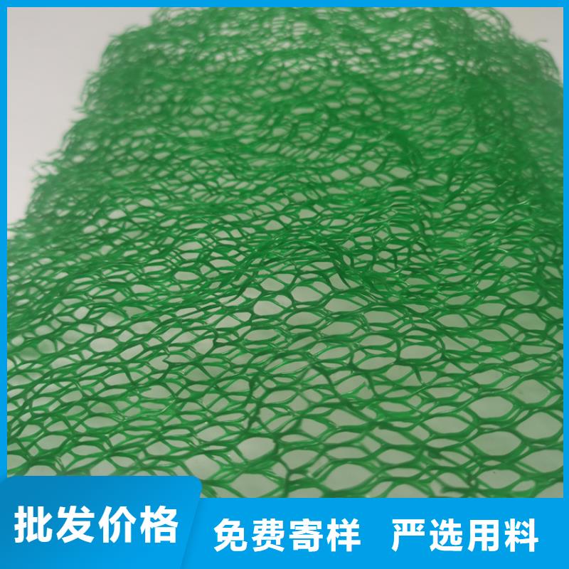 三維植被網(wǎng)_土工格柵貨源直銷