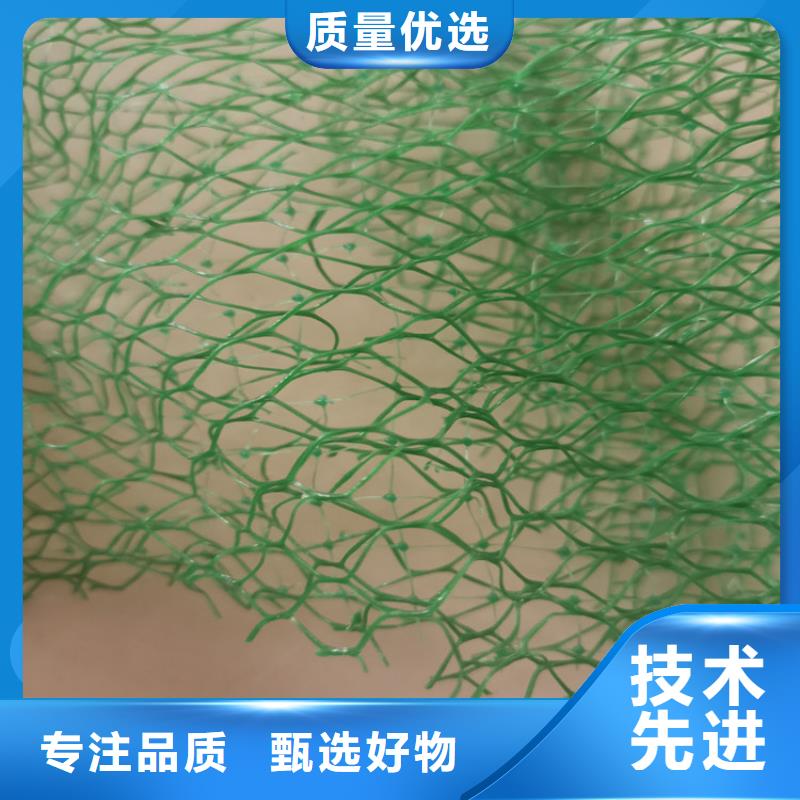 三维植被网-EM3三维土工网垫