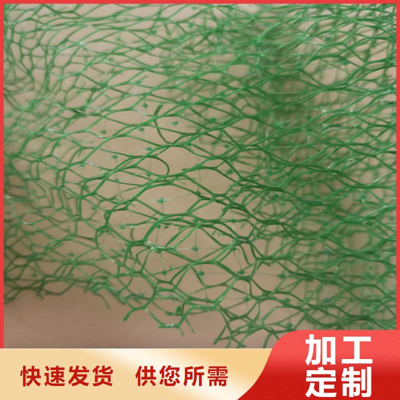 三維植被網(wǎng)塑料盲溝采購