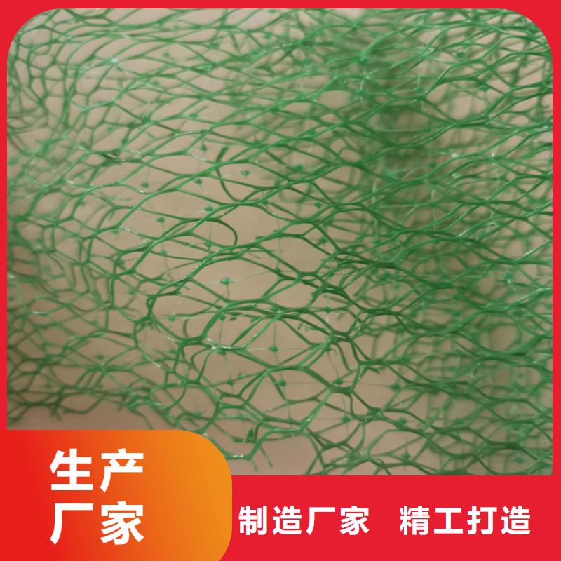 三维植被网_土工格栅货源直销