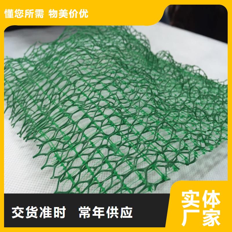 三维植被网_土工格栅货源直销