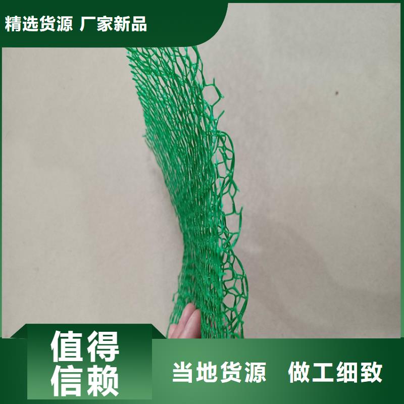 三维植被网塑料盲沟大量现货供应
