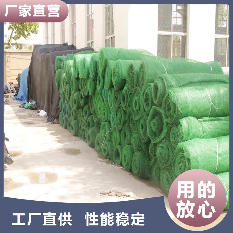 三维植被网塑料盲沟采购