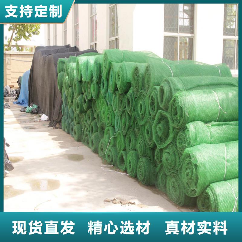 三维植被网塑料盲沟大量现货供应