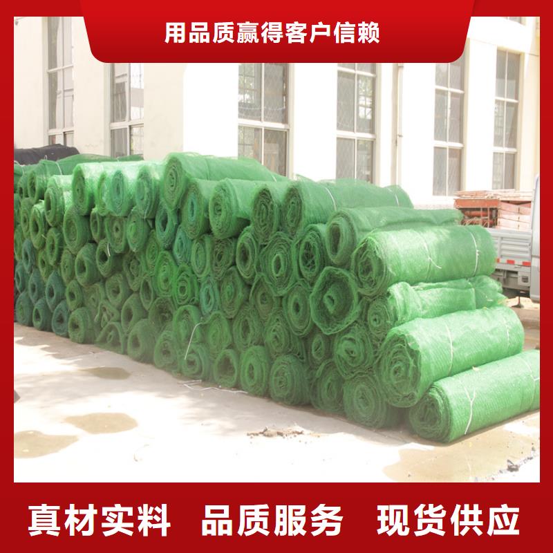 三维植被网软式透水管实力才是硬道理