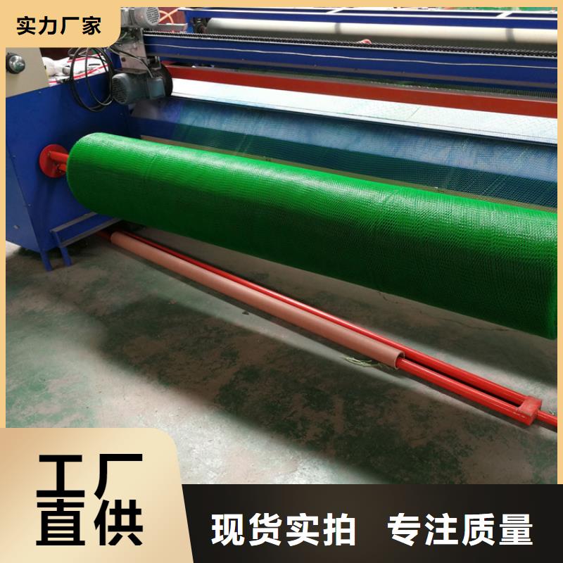 三維植被網(wǎng)聚酯玻纖布本地廠家值得信賴