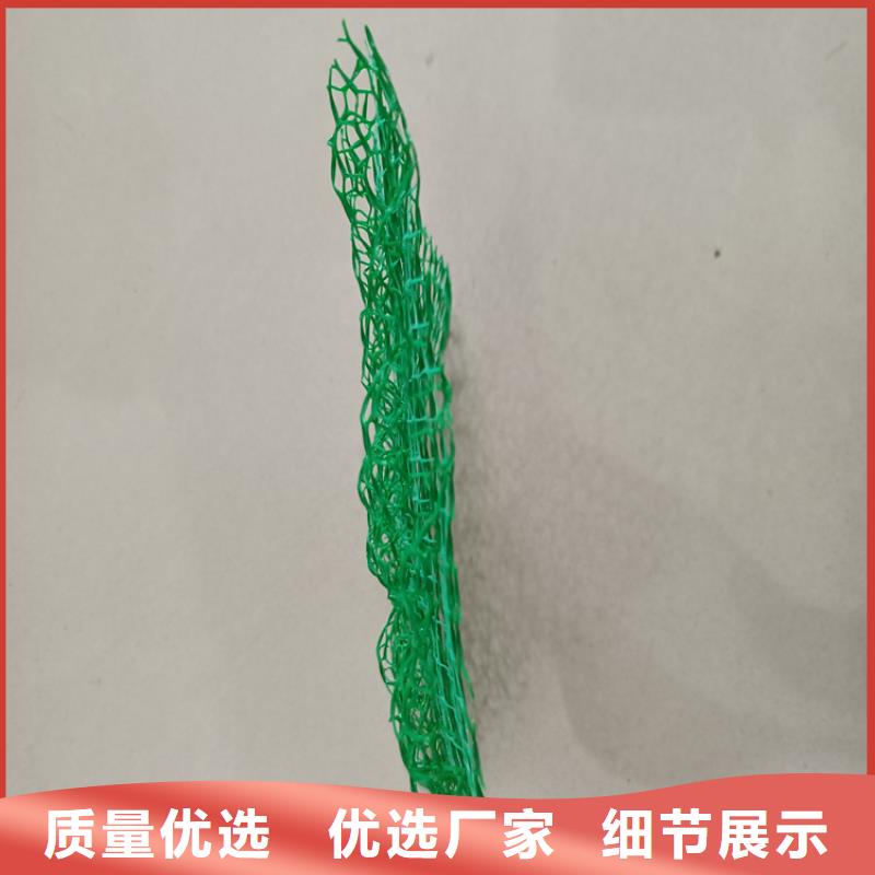 三维植被网塑料盲沟大量现货供应