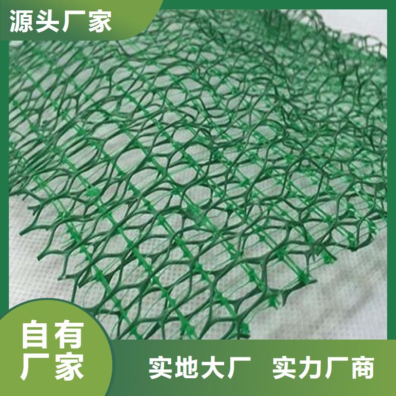 三维植被网塑料盲沟大量现货供应