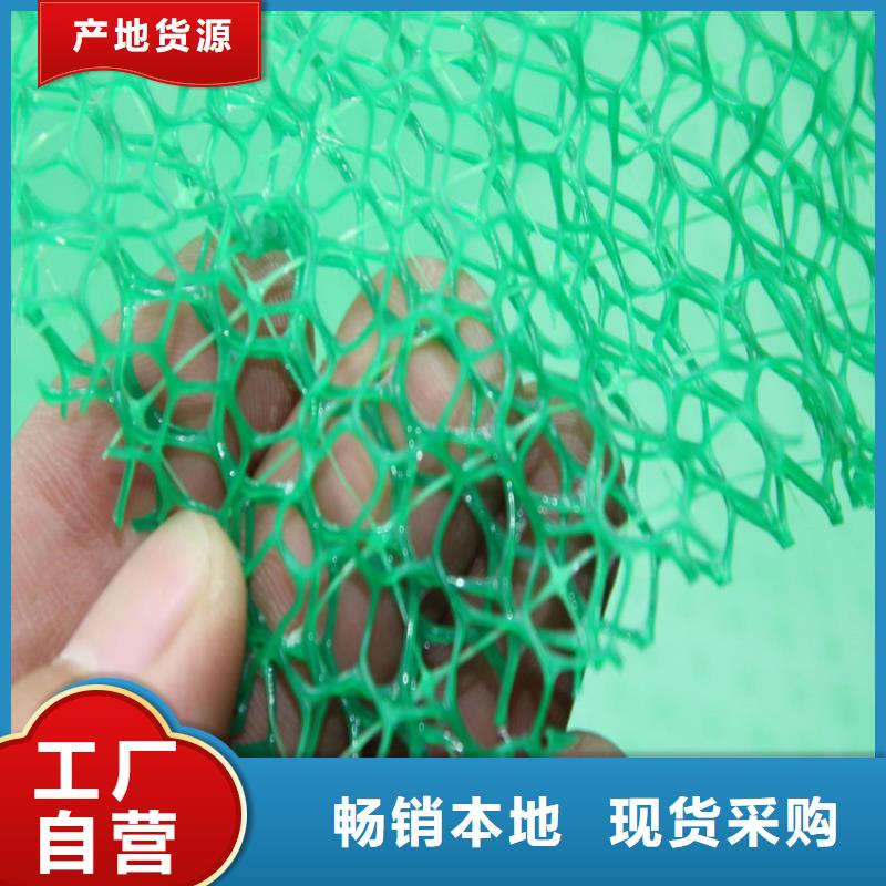 三维植被网塑料盲沟大量现货供应