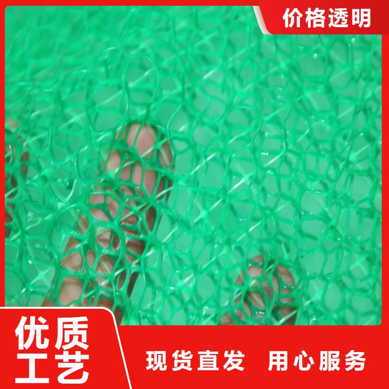 三維植被網土工格柵型號全價格低