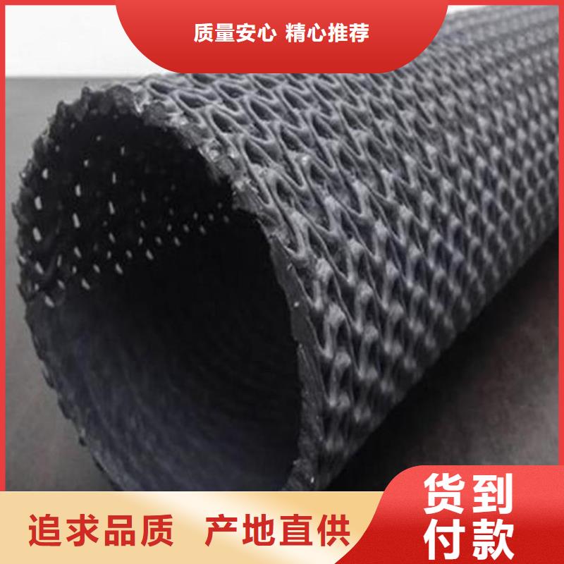 硬式透水管網(wǎng)格布源頭廠家直銷