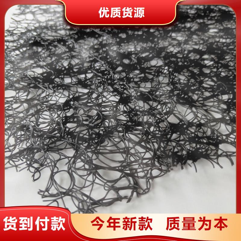 通风降噪丝网HDPE土工膜一周内发货