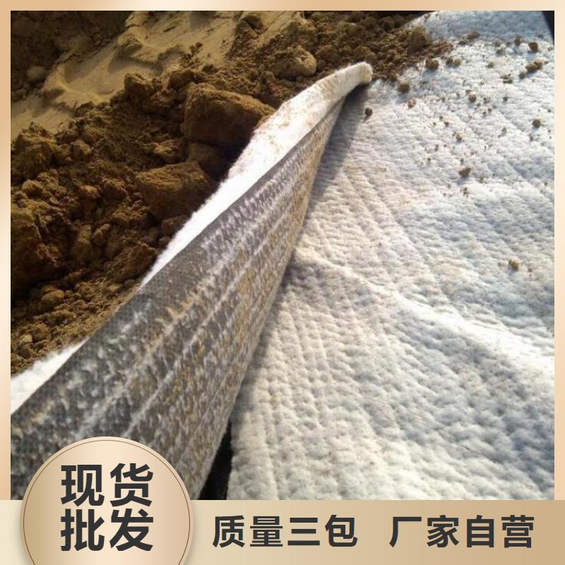 膨潤(rùn)土防水毯止水帶品質(zhì)之選