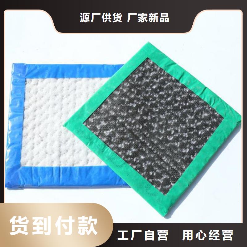 膨潤(rùn)土防水毯止水帶品質(zhì)之選