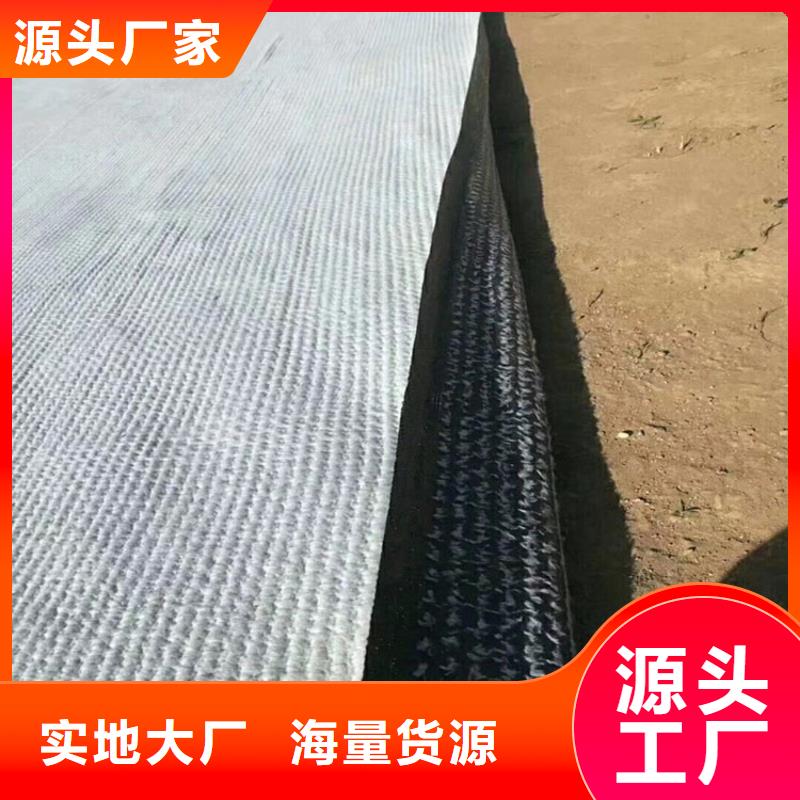 膨潤(rùn)土防水毯止水帶品質(zhì)之選