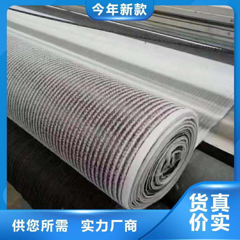 膨潤(rùn)土防水毯止水帶品質(zhì)之選