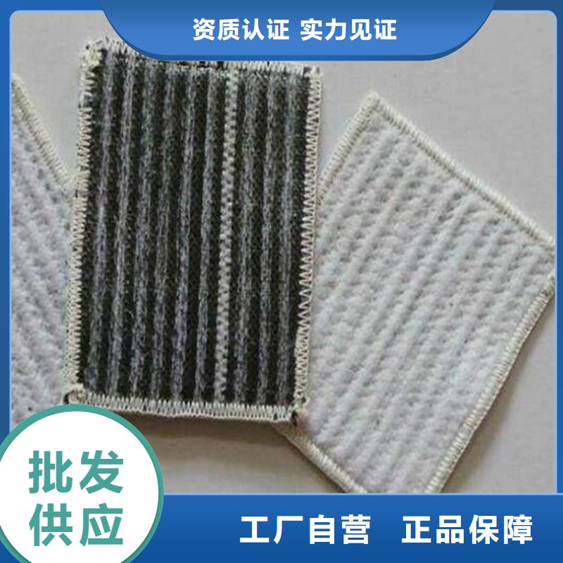 膨潤土防水毯HDPE土工膜細(xì)節(jié)展示
