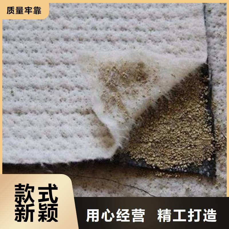 膨潤(rùn)土防水毯止水帶品質(zhì)之選
