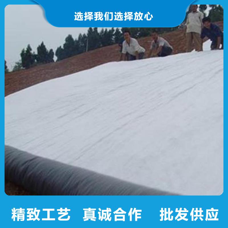 膨润土防水毯钢塑土工格栅款式多样