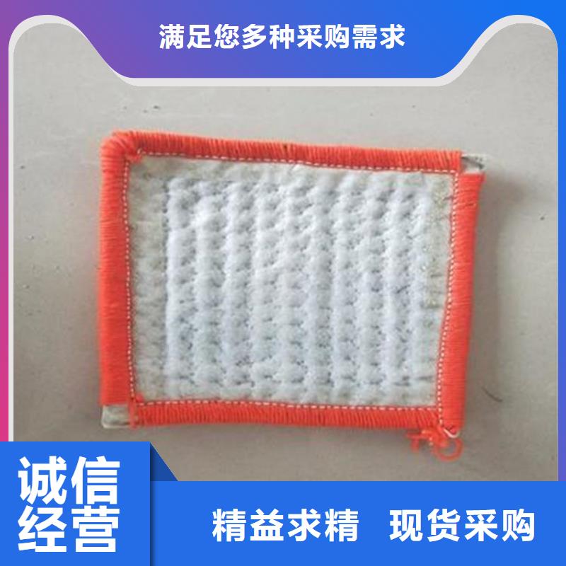 膨潤土防水毯HDPE土工膜細(xì)節(jié)展示