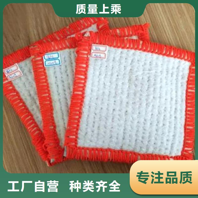 膨润土防水毯钢塑土工格栅款式多样