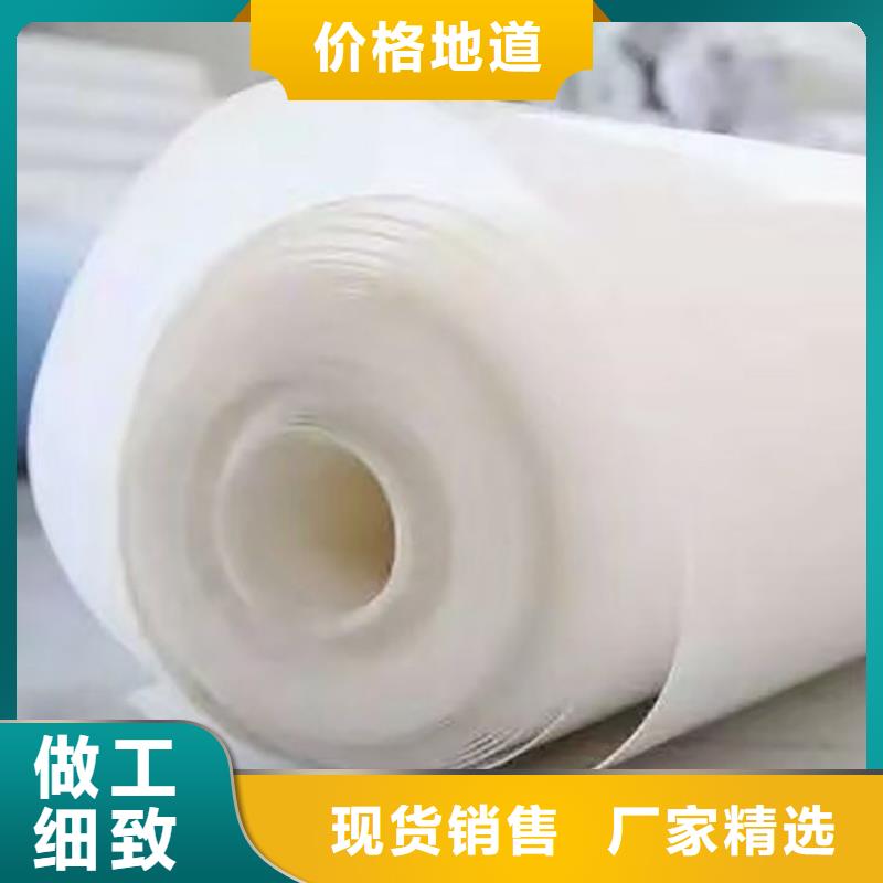 防水板双向塑料土工格栅种类丰富