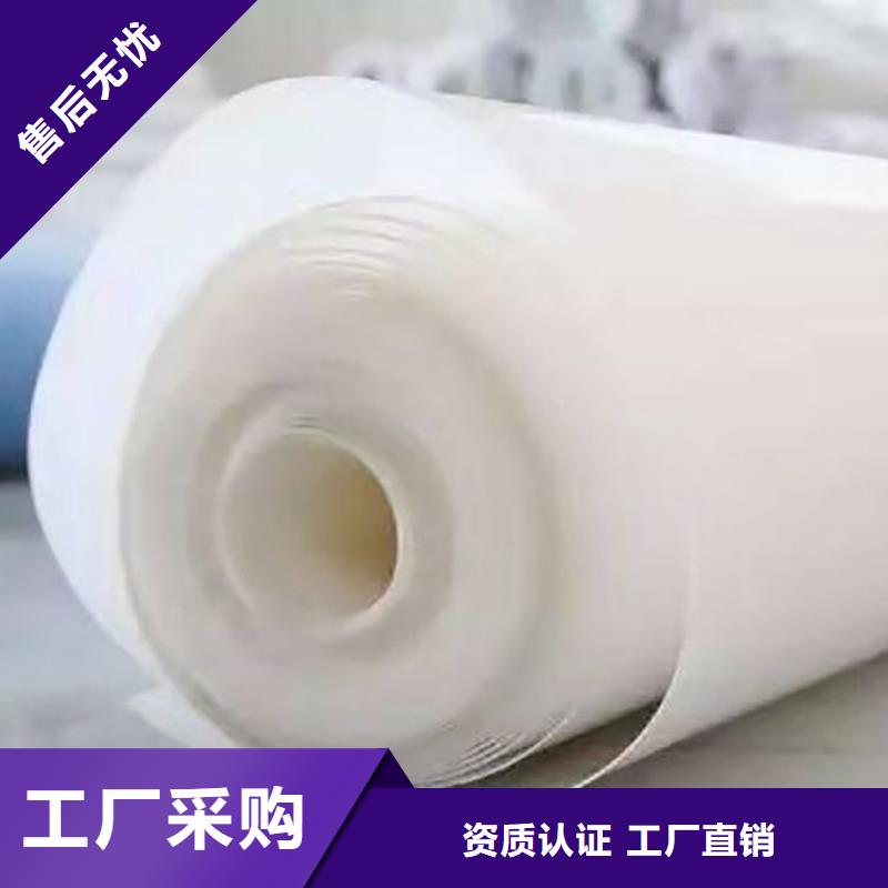 防水板【玻纖土工格柵】做工細(xì)致