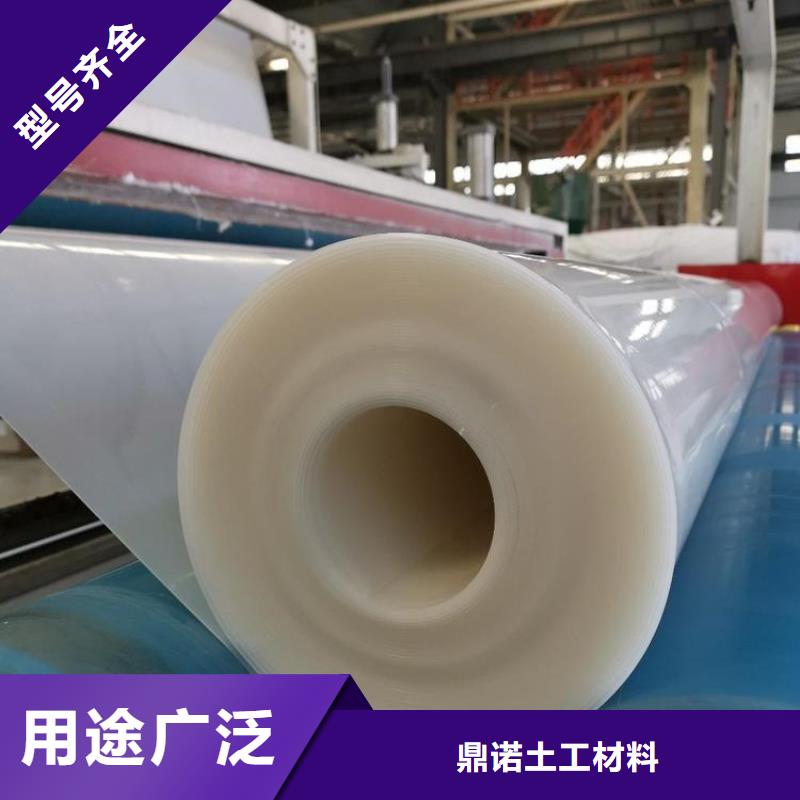 防水板防滲膜實(shí)力公司