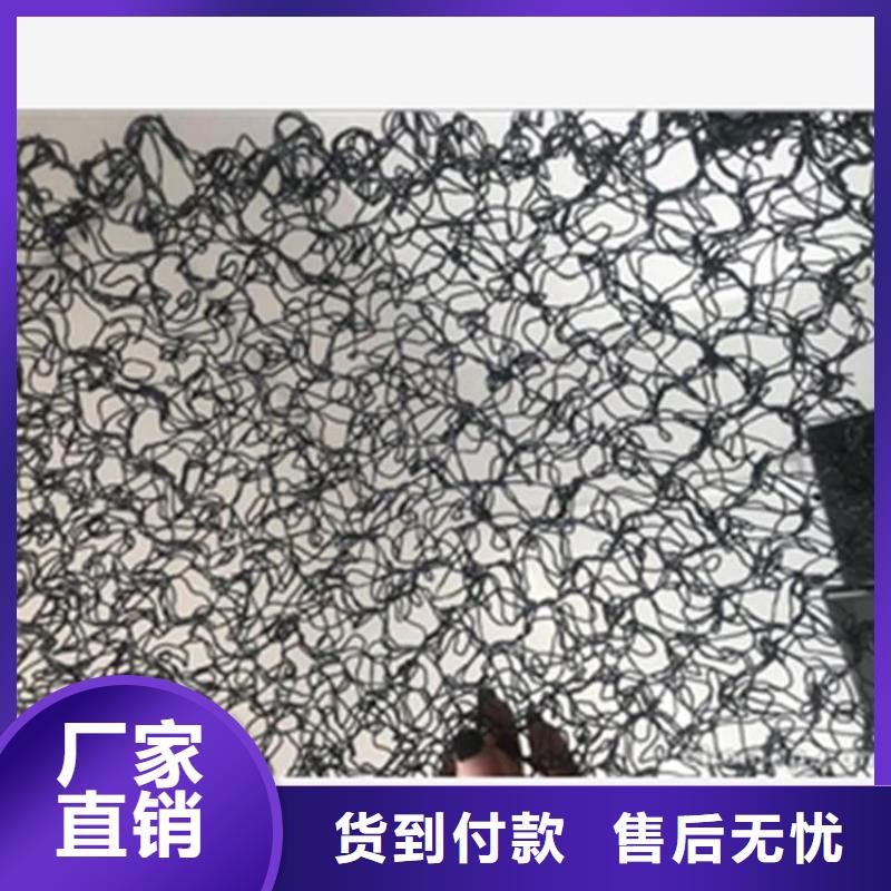 水土保護(hù)毯HDPE土工膜卓越品質(zhì)保障