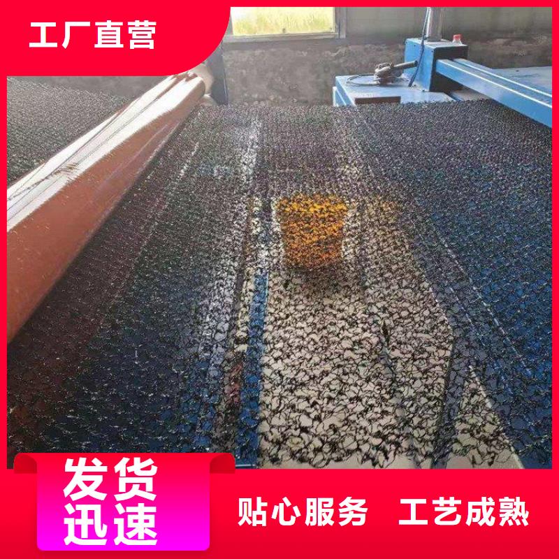 水土保護(hù)毯,三維植被網(wǎng)價格透明