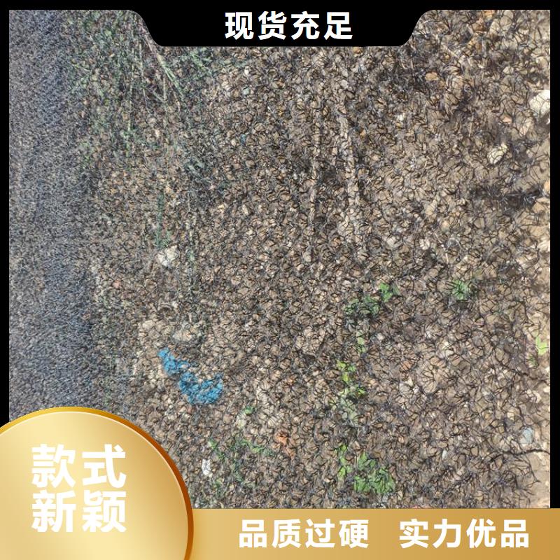 水土保护毯三维植被网发货及时