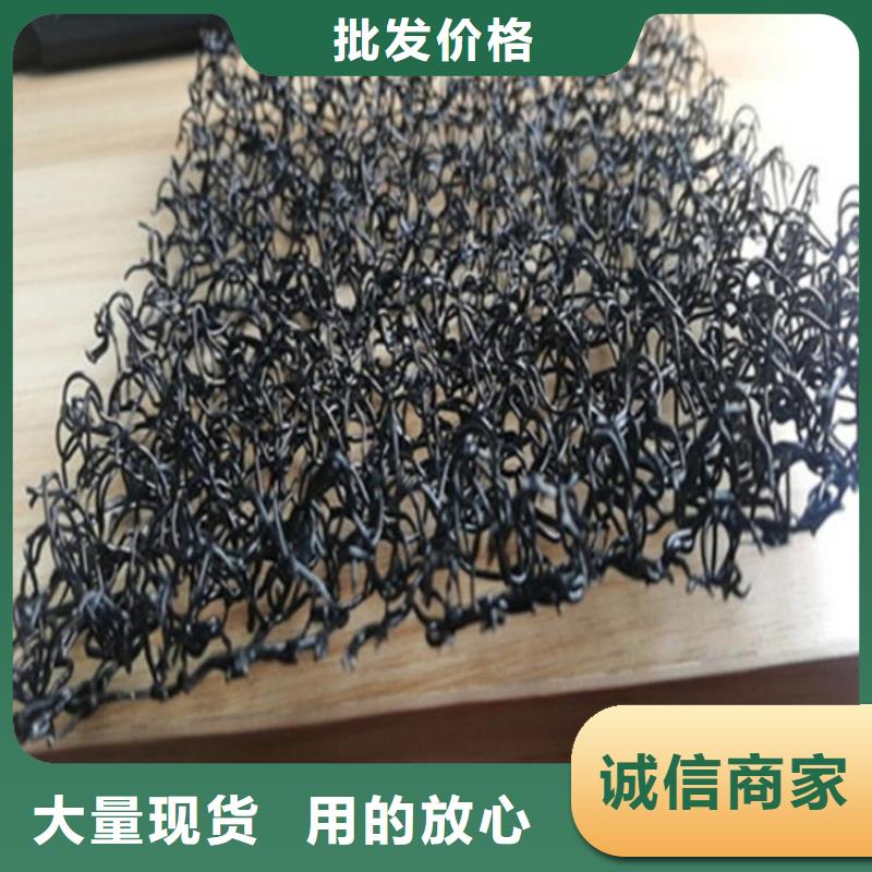 水土保護(hù)毯鋼塑格柵質(zhì)量優(yōu)選
