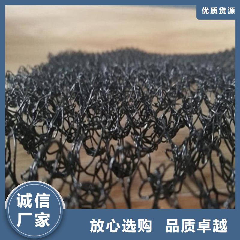 水土保護(hù)毯,三維植被網(wǎng)價(jià)格透明