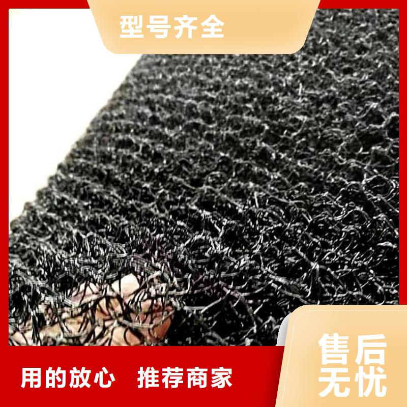 水土保護(hù)毯鋼塑格柵質(zhì)量優(yōu)選