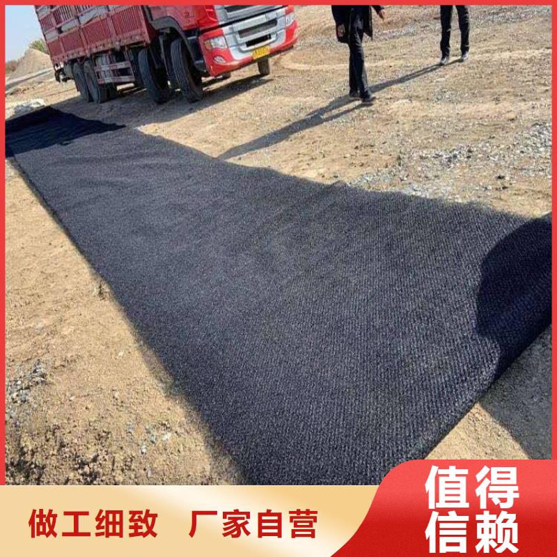水土保護(hù)毯鋼塑格柵質(zhì)量優(yōu)選