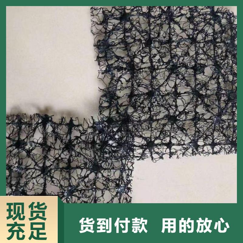 水土保护毯三维植被网发货及时