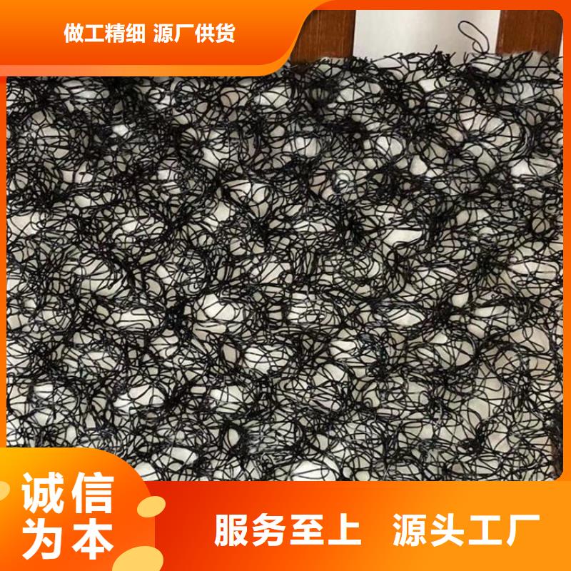 水土保護(hù)毯HDPE土工膜卓越品質(zhì)保障