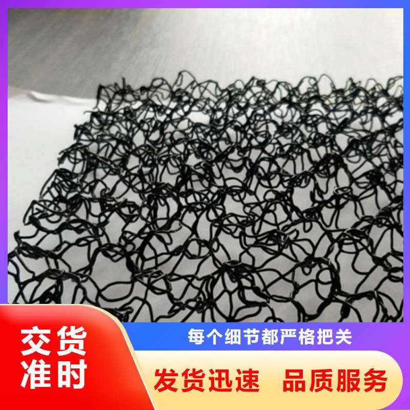 水土保護(hù)毯HDPE土工膜卓越品質(zhì)保障